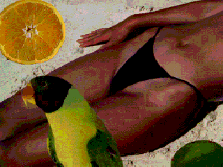 Screenshot Thumbnail / Media File 1 for Local Girls of Hawaii [U][CD][AK LOCAL SRCR 01][Excite Software][PCE]